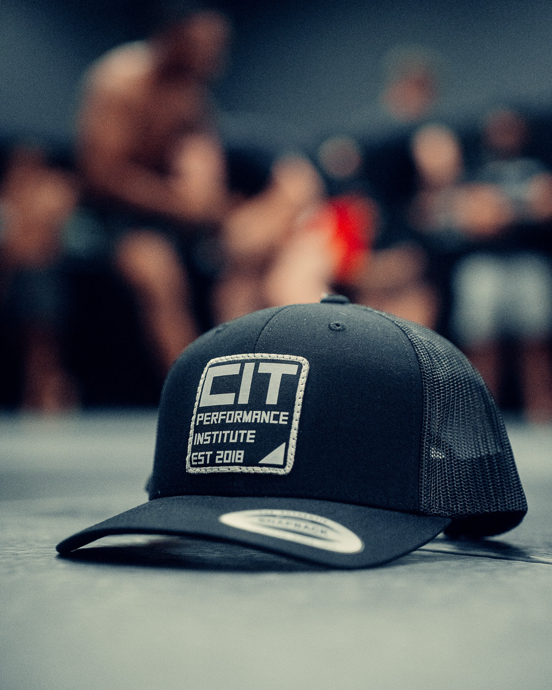 CIT PI Supporters Caps